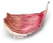 FoFo Kitchen